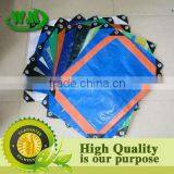 PE Tarpaulin ( Pp/pe Woven Fabric Anti-weed Mat) thumbnail-1