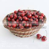 Wholesale Decorative Fake Fruit thumbnail-5