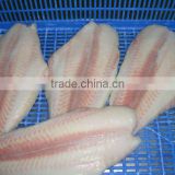 basa fish/frozen pangasius fish/Viet Nam seafood