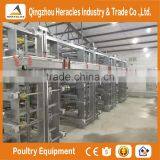 High Quality Chicken Farm Automatic Layer Poultry Equipment Chicken Cage for Sale thumbnail-4