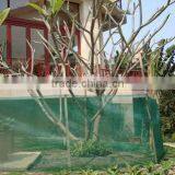 Tree Shelter thumbnail-1