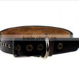 Dog Necklace thumbnail-1