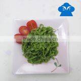 Vegan Spinach Shirataki Noodle 200g Konjac Low Carb Pasta Diet thumbnail-1