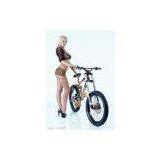 Mountain Bicycle/mtb Bike/mtb Cycle thumbnail-3