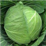 LANBEI LANQIAO PORT SHIP CHANDLER SHIPCHANDLER IN CHINA thumbnail-5