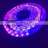 5M SMD 5050 UV Ultra Waterproof Purple 300 LED Flex Strip Light Money Detect