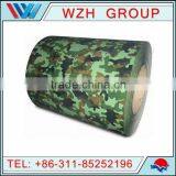 914mm 1000mm 1220mm 1219mm 1250mm Prepainted Galvanized Galvalume Steel Coils thumbnail-2