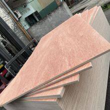 434850520_3855007101395919_6557599241901511866_n