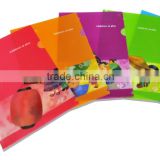 plastic l-shaped a4 folder, PVC l shape project file folder customized
