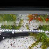 IP68 Waterproof Patented V-0 Underwater LED RGB Display CE UL Approved thumbnail-2