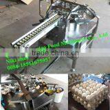 Automatic Egg Breaking Machine / Egg Shell Separating Machine/egg Breaker Quality Choice
