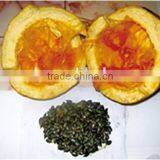 Jin No.2 No Shell Styrian Pumpkin Seeds