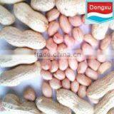 Brand Peanut/ Peanut Kernels