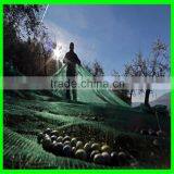 100% Virgin HDPE Plastic Olive Netting / Olive Collection Net With Long Life Span