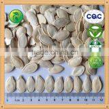 Low Price Shine Skin Pumpkin Seeds 2015 New Crops thumbnail-1
