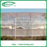 Polycarbonate Greenhouse Farming thumbnail-1