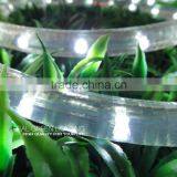Quality Products Approved! 13mm 2 Wires Outdoor LED Rope Light thumbnail-2