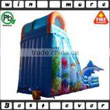 Big Fish Attack Outdoor Sports Equipment Air Trampoline Prices, Adult and Baby Inflatable Used Water Slide for Sale thumbnail-5