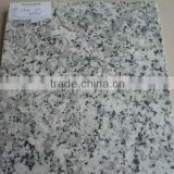 Vietnam White Granite