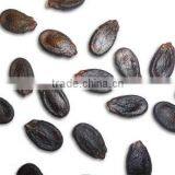 Supply Black Watermelon Seed With Good Quality for Sale