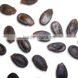 Supply black watermelon seed with good quality for sale