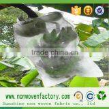 Non Woven Geotextile Bags for Fruit Protection Bsg thumbnail-4