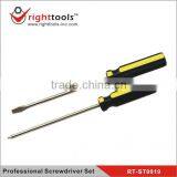 Professional Screwdriver Set