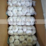 Chinese jinxiang 1kg pure white and normal white fresh garlic