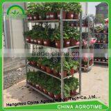 Agrotime Flower Carts for Sale/trolley Used in Greenhouse thumbnail-5