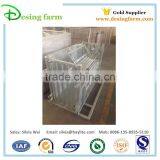 Sheep Livestock Farming Equipment thumbnail-3