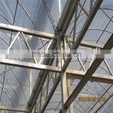Modern Design Low Cost / Cheap Glass Green Houses for Agriculture thumbnail-5