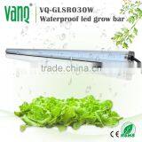 Led Light Manufacturing Plant Outdoor Plant Grow Led Lighting Smd 5730 Led Plant Grow Light thumbnail-2