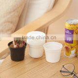 Round Clear Plastic Orchid Pot thumbnail-3