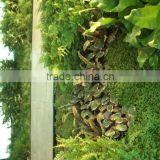 Home and Outdoor Decoration Synthetic Cheap Artificial Vertical Green Grass Wall E08 04R37 thumbnail-5