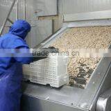 Fresh Frozen Short Necked Clam Shell-On thumbnail-3