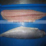 Fast Delivery Sea Frozen Mahi Mahi Portion 400-800g/pc thumbnail-1