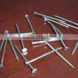 Common Round Iron Wire Nail thumbnail-1