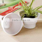 Home &office Decorative Melamine Flower Pot thumbnail-2