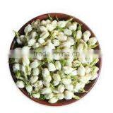 Agra Boutique Taiwan Pure Jasmine Tea Fujian Jasmine Tea Brands thumbnail-4