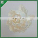 Dried Sola Flower From China Supplier thumbnail-3