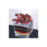 Glass Vase thumbnail-1