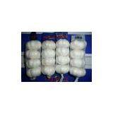 High Quality Fresh Garlic Price thumbnail-3