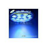 2012 Hot Sale 15w High Quality Led Spotlight 15x1w for Your Fish Tank