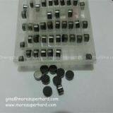 PDC Drill Bit Cutters for Petroleum Exploration