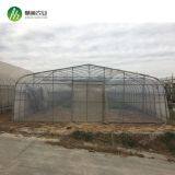 Top Quality China Manufacturer Single Span Polyethylene Film Greenhouses thumbnail-1