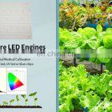 Relight Horticulture Lighting Plant LED Module Grow Light 100W 199lm/w thumbnail-6