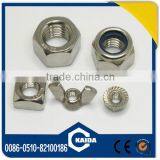 Stainless Steel Nylon Nut thumbnail-3