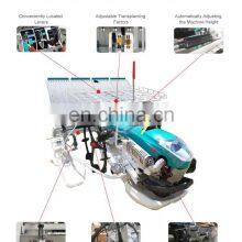 Manufacturer 4 Rows Rice Seedling Transplanter Manual Rice Transplanter Price Seedlings Planting Machine on Sale thumbnail-2