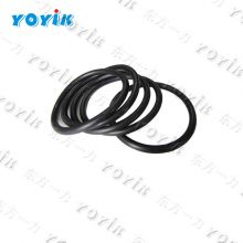 China factory Sealing ring DTPD100UZ015 for power station