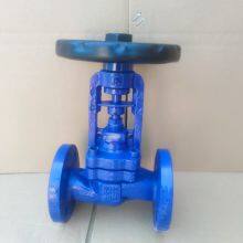 Versatile DIN Cast Iron Bellows Globe Valve Compatible With Various Fluids in HVAC and Water Treatment Industries